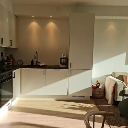 Апартаменты Flott Mellom Sjo Og Fjell *